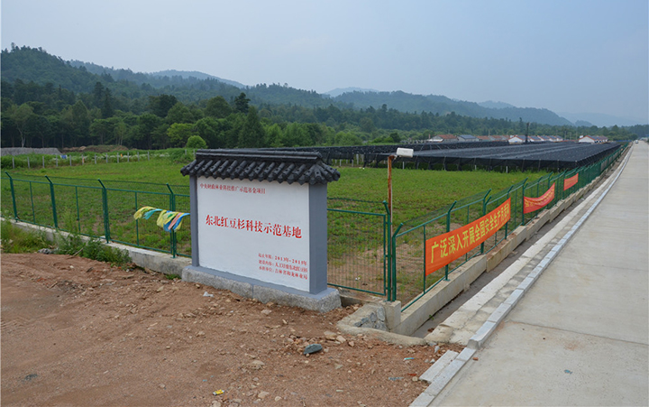 1.荒溝：東北紅豆杉繁育基地.jpg