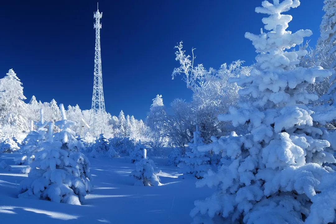 印象長白山森工：這里正在上演“雪域王國”的急速穿越