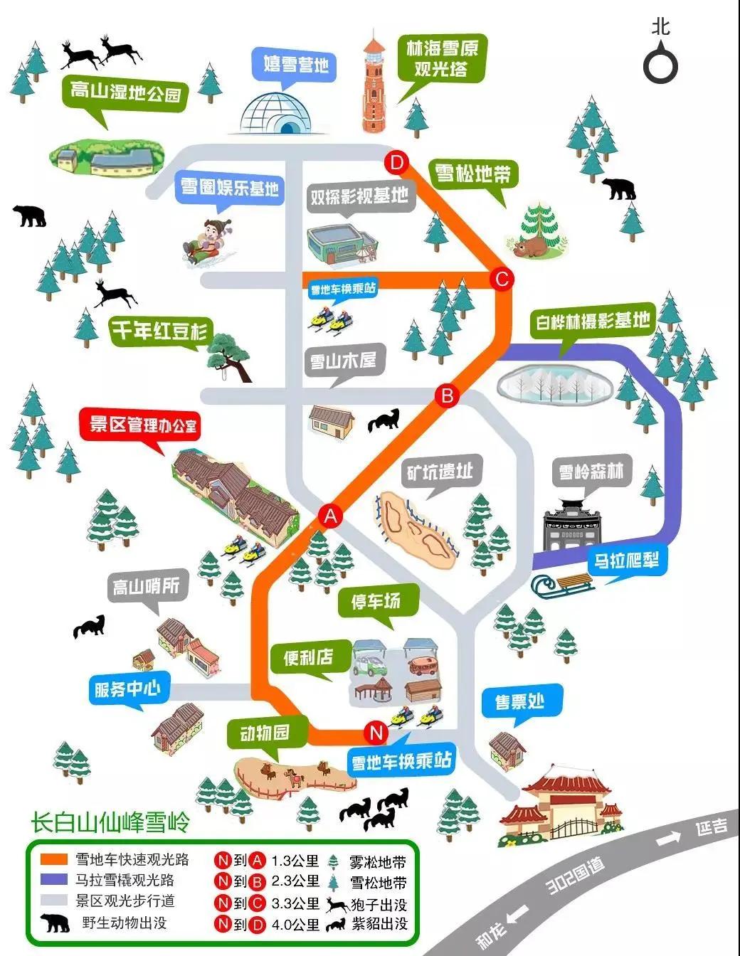 印象長白山森工：這里正在上演“雪域王國”的急速穿越